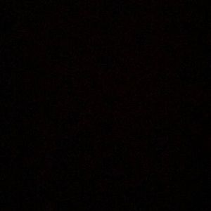 Meet your Posher, Ella